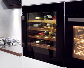 a picture of an integrated wine cooler
